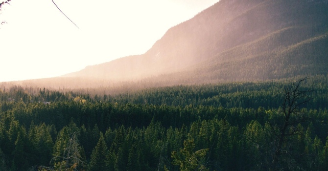 Why Combining Rehab, Shockwave, and Manual Therapy Works Better