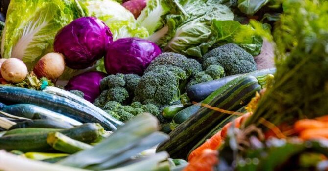 My Favourite Meatless Meals image