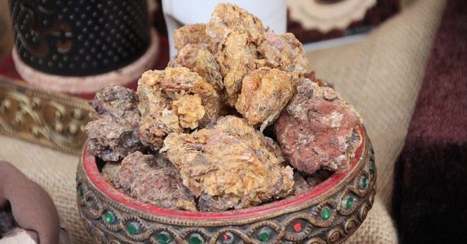 Historic Herbs: Myrrh for Infections and Immunity image