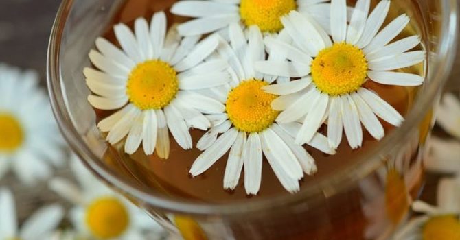 Household Healers: Chamomile Tea image